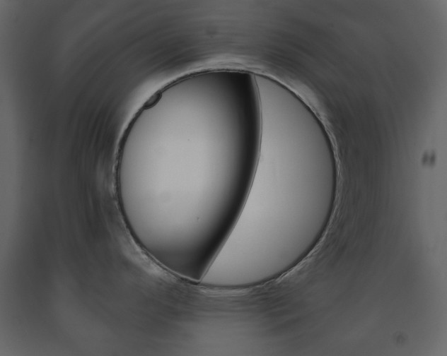 X0000091661296200708230941