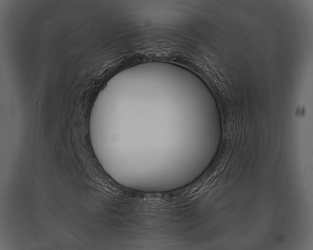 X0000091661297200708230941