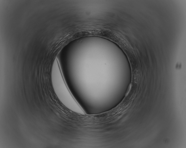 X0000091661298200708230941