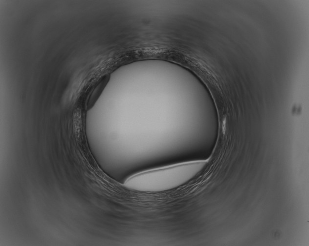 X0000091661299200708230941