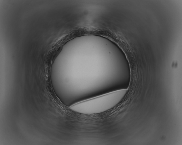 X0000091661301200708230941