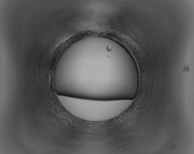 X0000091661302200708230941