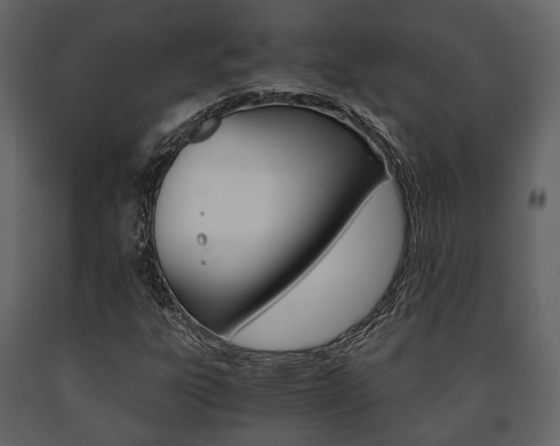 X0000091661303200708230941