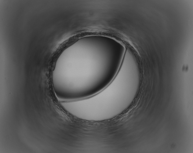 X0000091661304200708230941