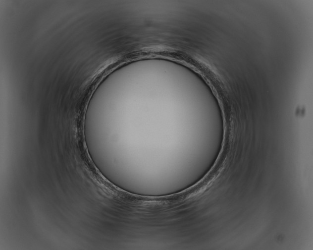 X0000091661305200708230941