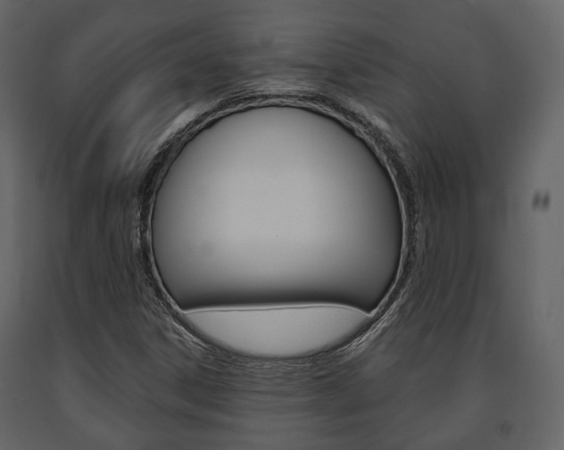 X0000091661306200708230941