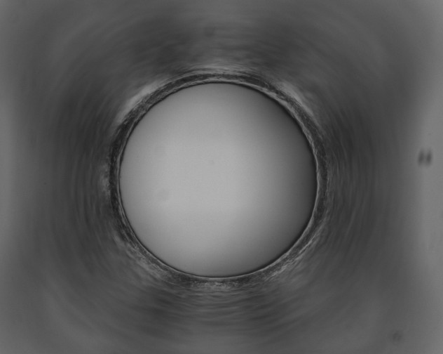 X0000091661307200708230941