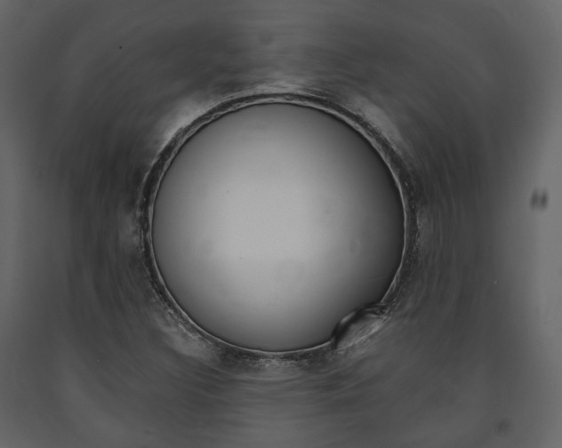 X0000091661308200708230941