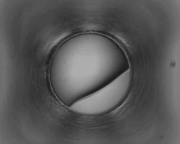 X0000091661309200708230941