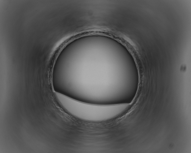 X0000091661310200708230941