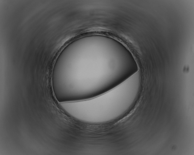 X0000091661313200708230941