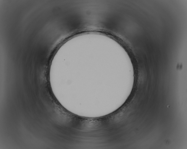 X0000091661314200708230941