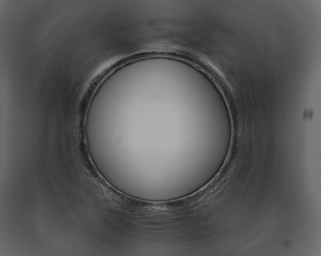 X0000091661315200708230941