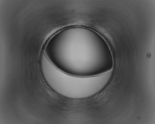 X0000091661316200708230941