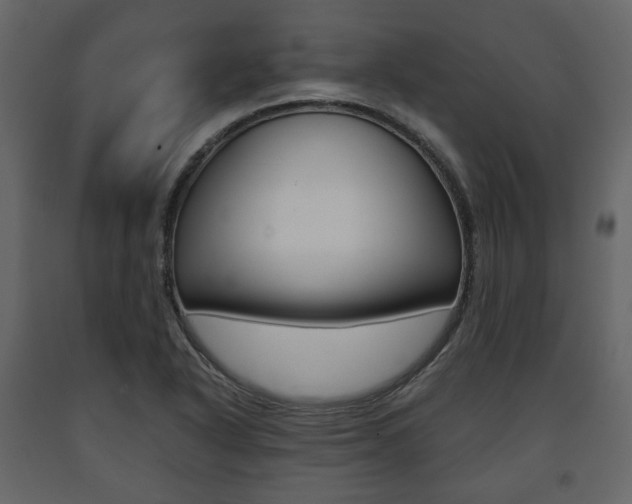X0000091661318200708230941