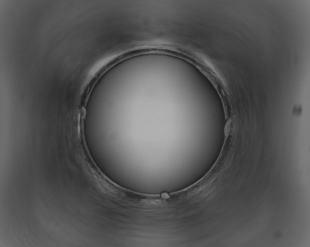 X0000091661320200708230941