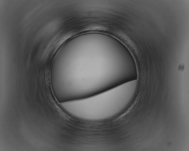 X0000091661321200708230941