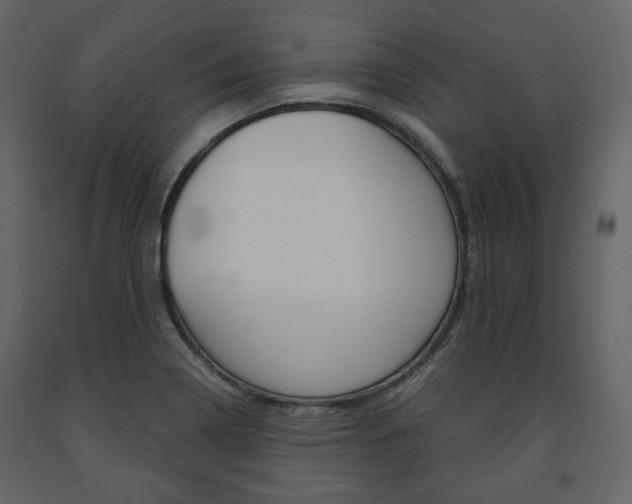 X0000091661322200708230941
