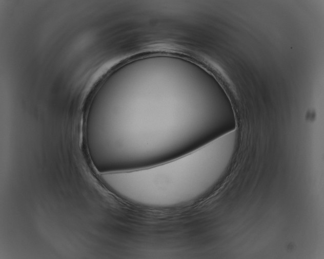 X0000091661323200708230941