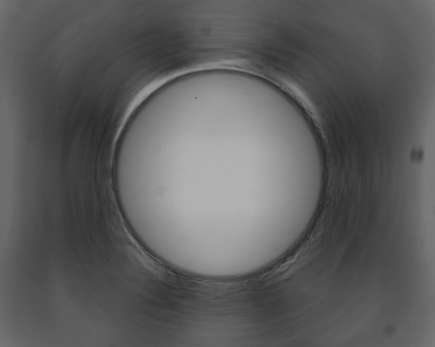 X0000091661324200708230941