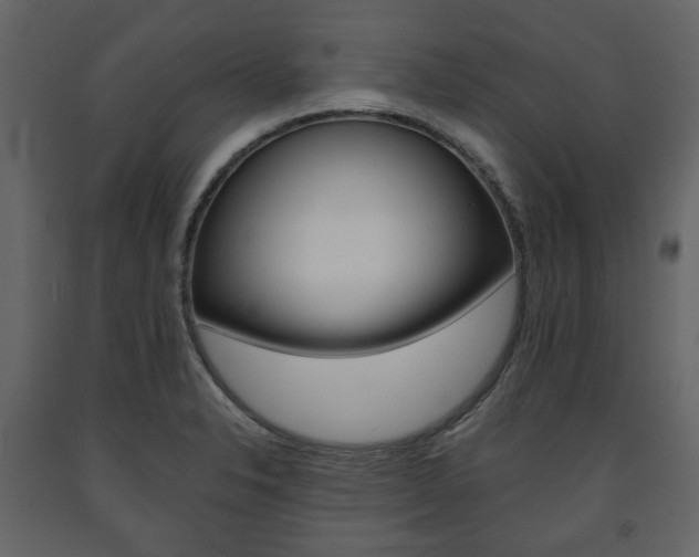 X0000091661326200708230941