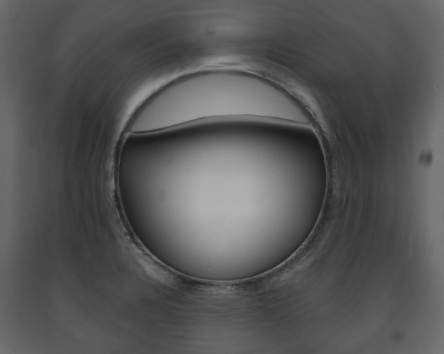 X0000091661328200708230941
