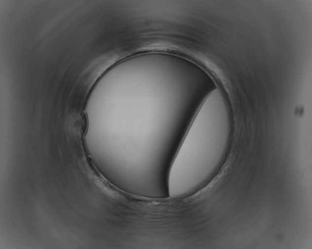 X0000091661329200708230941