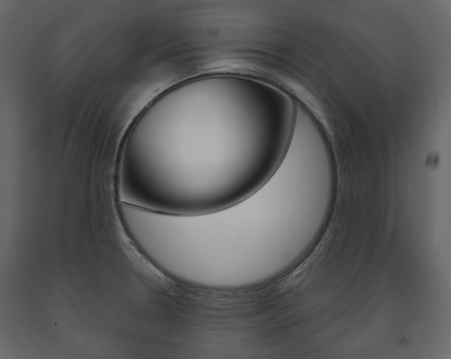 X0000091661330200708230941