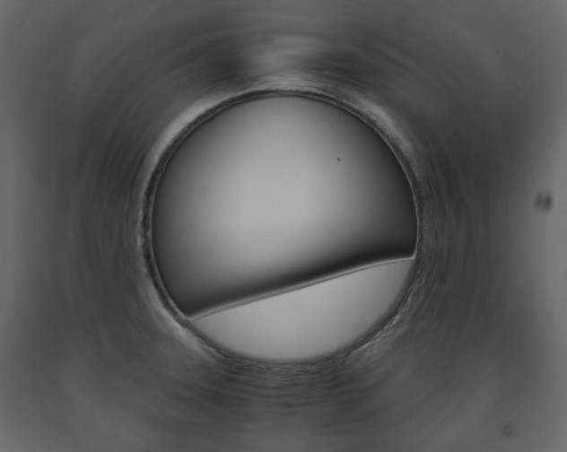 X0000091661331200708230941