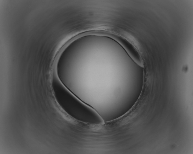 X0000091661332200708230941