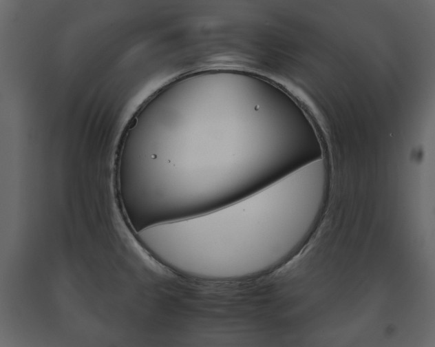 X0000091661333200708230941