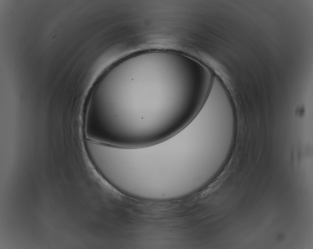 X0000091661334200708230941