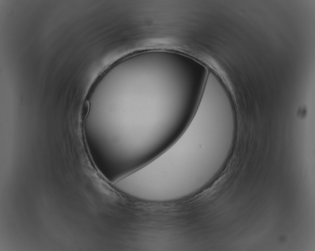 X0000091661336200708230941