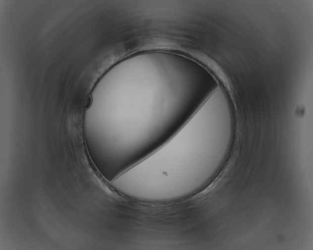 X0000091661337200708230941