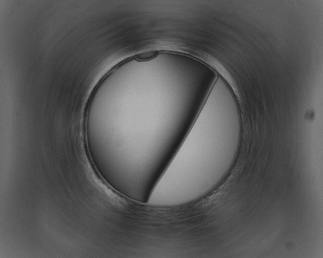 X0000091661339200708230941