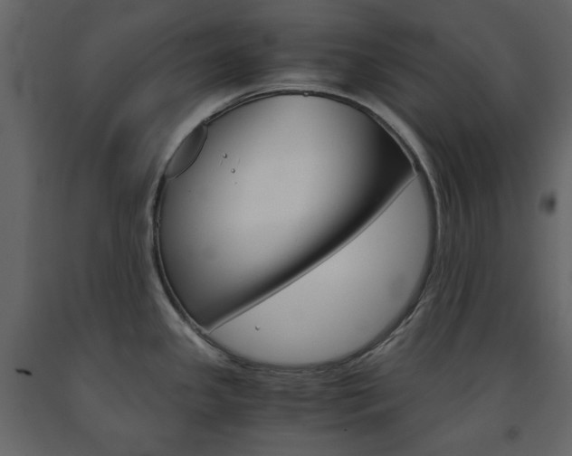X0000091661341200708230941