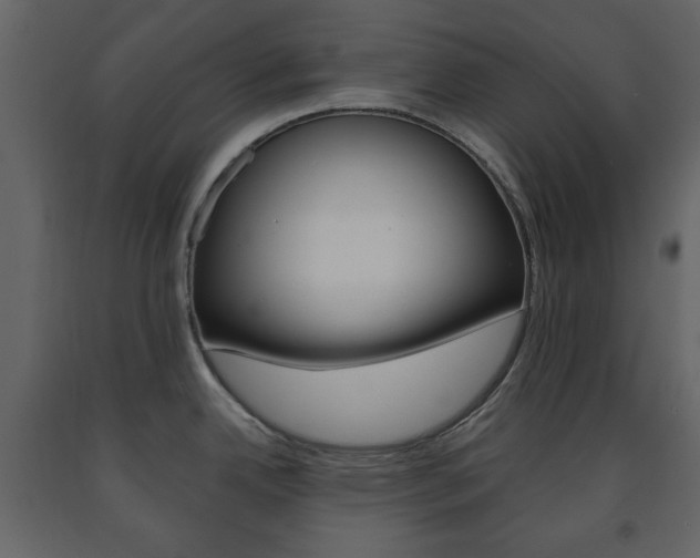 X0000091661342200708230941