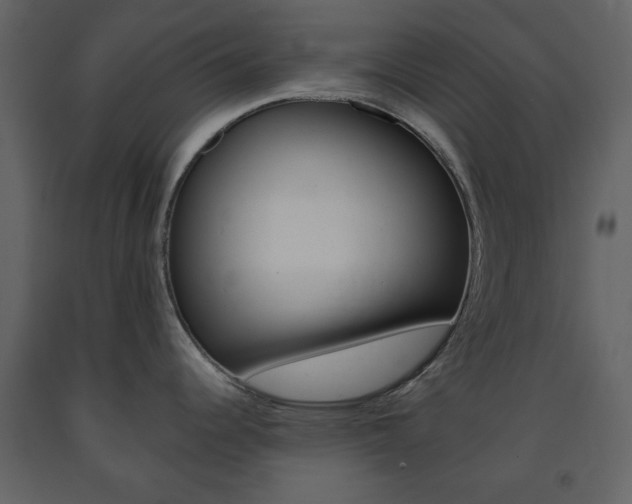X0000091661344200708230941