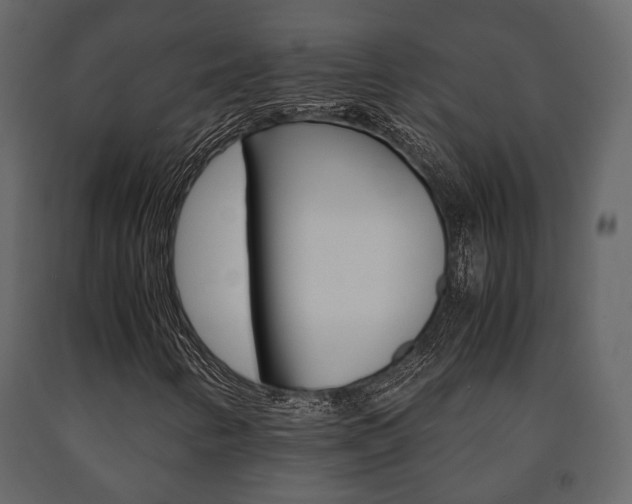 X0000091661346200708230941