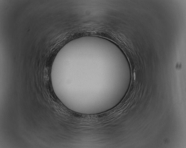X0000091661347200708230941