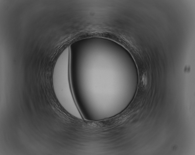 X0000091661348200708230941