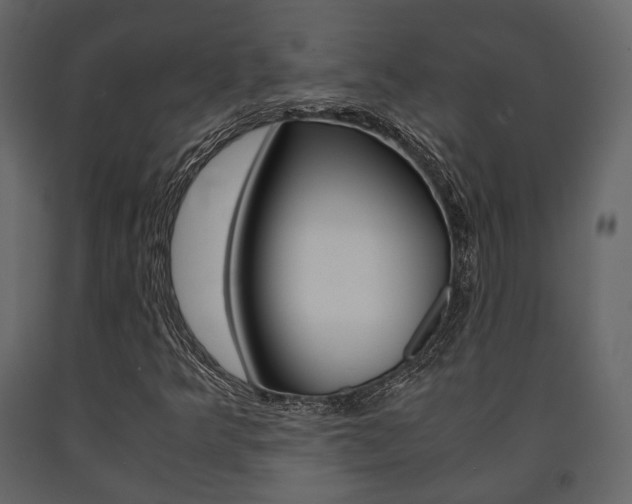 X0000091661349200708230941