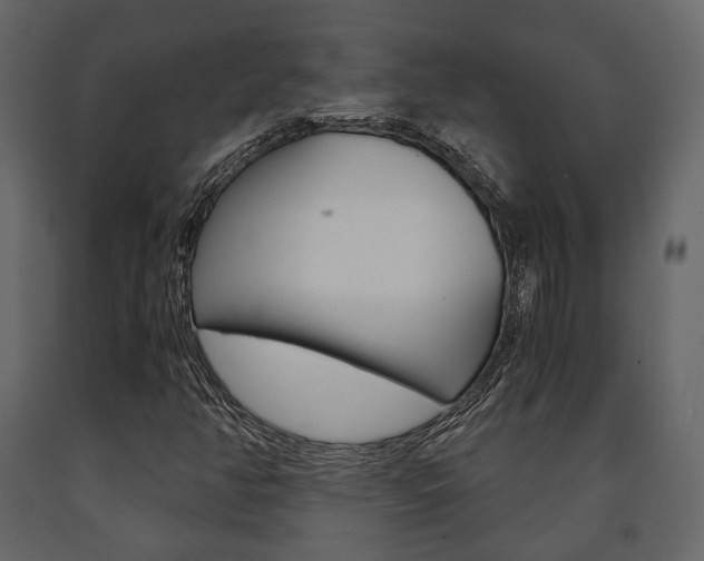 X0000091661350200708230941