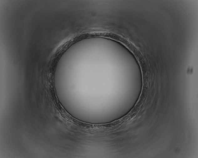 X0000091661351200708230941