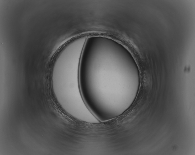 X0000091661352200708230941