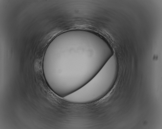 X0000091661353200708230941