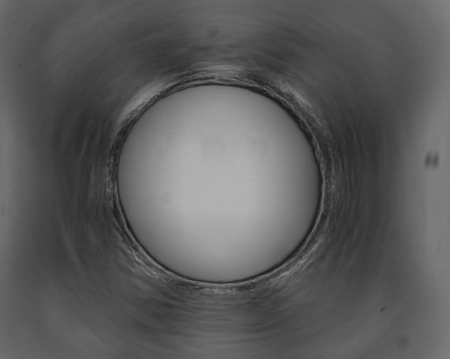 X0000091661354200708230941