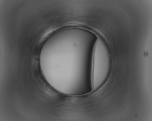 X0000091661355200708230941