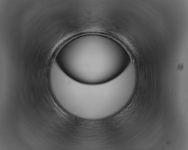 X0000091661356200708230941