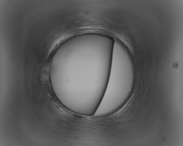 X0000091661357200708230941